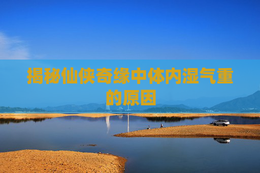 揭秘仙侠奇缘中体内湿气重的原因