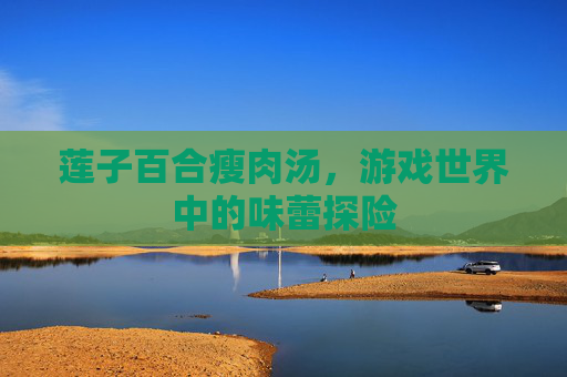 莲子百合瘦肉汤，游戏世界中的味蕾探险