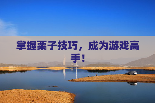 掌握粟子技巧，成为游戏高手！