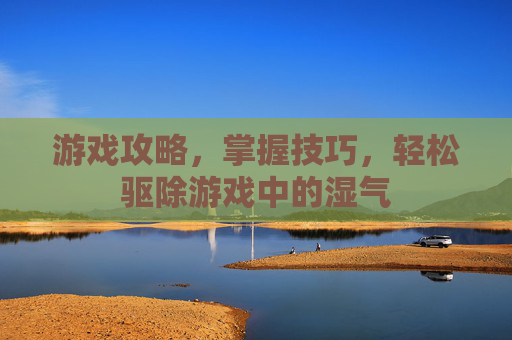 游戏攻略，掌握技巧，轻松驱除游戏中的湿气
