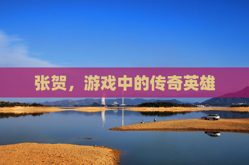 张贺,游戏中的传奇英雄 张贺,游戏中的传奇英雄