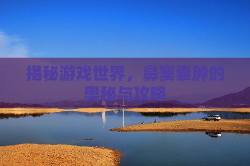 揭秘游戏世界,鼻窦囊肿的奥秘与攻略 揭秘游戏世界,鼻窦囊肿的奥秘与攻略