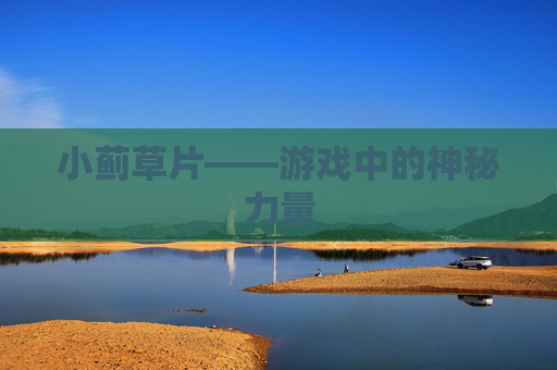 小蓟草片——游戏中的神秘力量 小蓟草片——游戏中的神秘力量