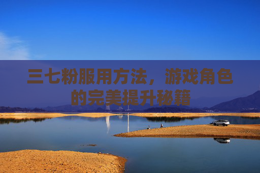 三七粉服用方法,游戏角色的完美提升秘籍 三七粉服用方法,游戏角色的完美提升秘籍