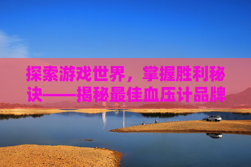 探索游戏世界,掌握胜利秘诀——揭秘最佳血压计品牌 探索游戏世界,掌握胜利秘诀——揭秘最佳血压计品牌