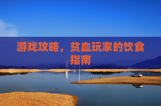 游戏攻略,贫血玩家的饮食指南 游戏攻略,贫血玩家的饮食指南