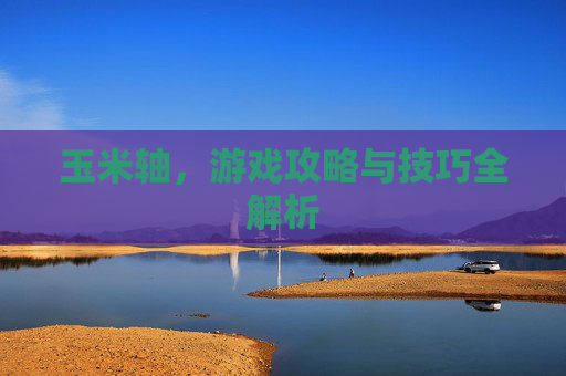 玉米轴,游戏攻略与技巧全解析 玉米轴,游戏攻略与技巧全解析
