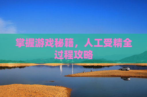 掌握游戏秘籍,人工受精全过程攻略 掌握游戏秘籍,人工受精全过程攻略