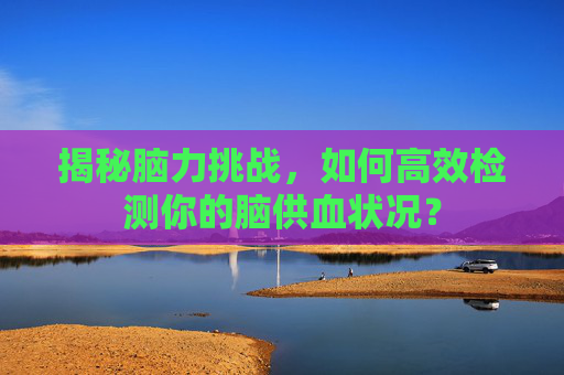 揭秘脑力挑战,如何高效检测你的脑供血状况? 揭秘脑力挑战,如何高效检测你的脑供血状况?