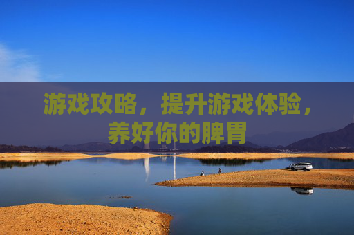 游戏攻略,提升游戏体验,养好你的脾胃 游戏攻略,提升游戏体验,养好你的脾胃