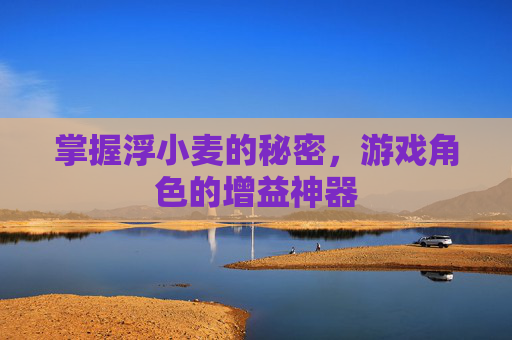掌握浮小麦的秘密,游戏角色的增益神器 掌握浮小麦的秘密,游戏角色的增益神器