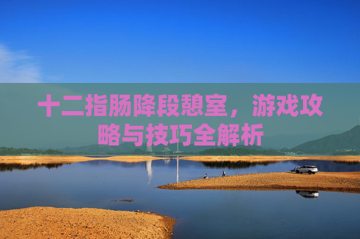 十二指肠降段憩室，游戏攻略与技巧全解析