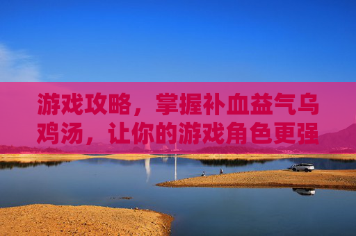 游戏攻略,掌握补血益气乌鸡汤,让你的游戏角色更强大! 游戏攻略,掌握补血益气乌鸡汤,让你的游戏角色更强大!