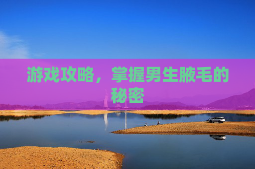 游戏攻略,掌握男生腋毛的秘密 游戏攻略,掌握男生腋毛的秘密