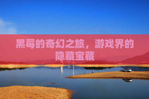 黑莓的奇幻之旅,游戏界的隐藏宝藏 黑莓的奇幻之旅,游戏界的隐藏宝藏