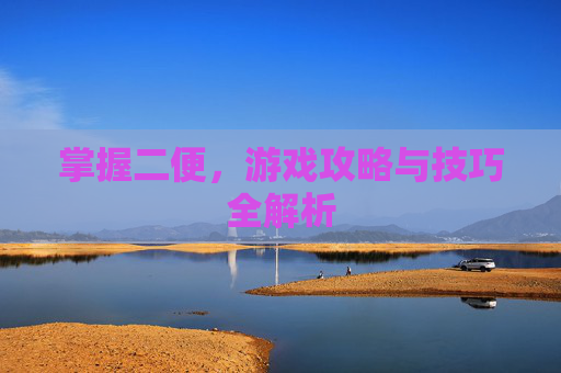 掌握二便,游戏攻略与技巧全解析 掌握二便,游戏攻略与技巧全解析
