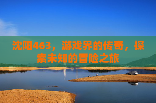 沈阳463，游戏界的传奇，探索未知的冒险之旅