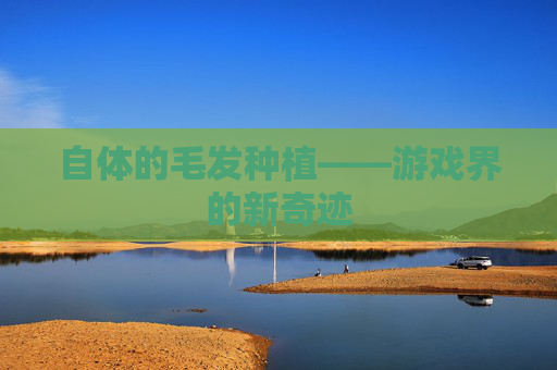 自体的毛发种植——游戏界的新奇迹