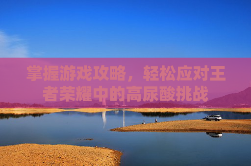 掌握游戏攻略，轻松应对王者荣耀中的高尿酸挑战