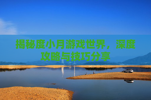 揭秘度小月游戏世界，深度攻略与技巧分享