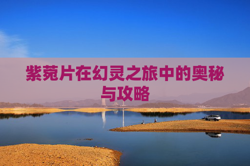 紫菀片在幻灵之旅中的奥秘与攻略