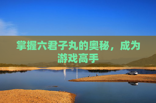 掌握六君子丸的奥秘，成为游戏高手