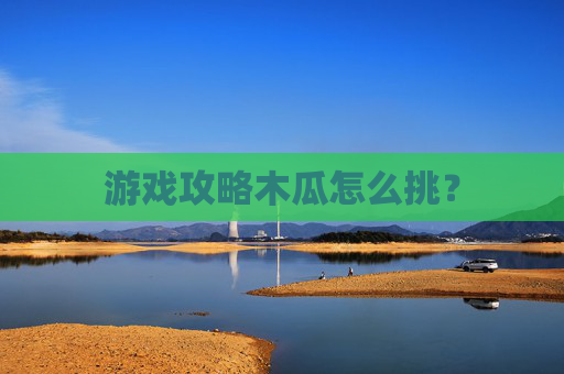 游戏攻略木瓜怎么挑？