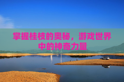 掌握桂枝的奥秘，游戏世界中的神奇力量