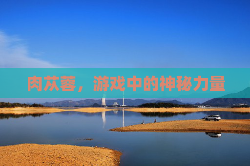 肉苁蓉，游戏中的神秘力量