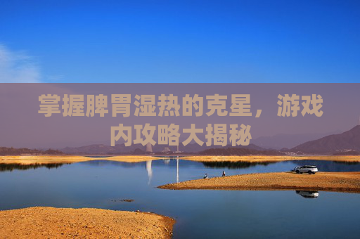 掌握脾胃湿热的克星，游戏内攻略大揭秘