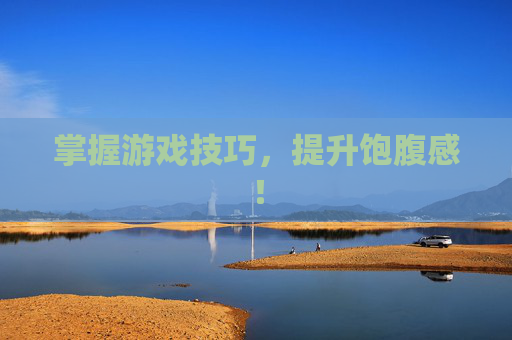 掌握游戏技巧，提升饱腹感！