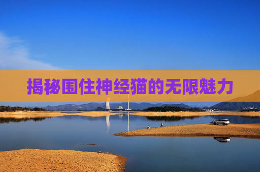 揭秘围住神经猫的无限魅力 揭秘围住神经猫的无限魅力