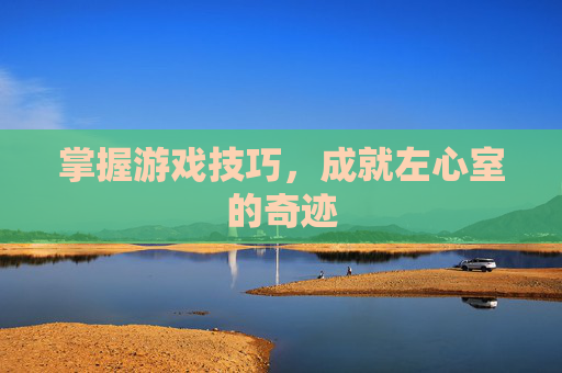 掌握游戏技巧，成就左心室的奇迹