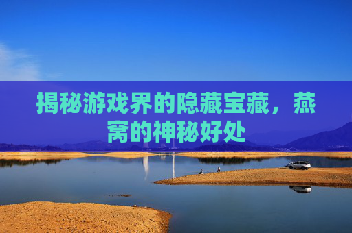 揭秘游戏界的隐藏宝藏，燕窝的神秘好处