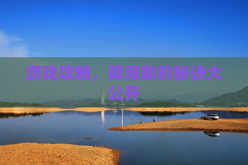 游戏攻略，降尿酸的秘诀大公开