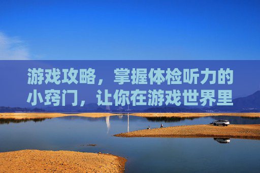 游戏攻略，掌握体检听力的小窍门，让你在游戏世界里游刃有余！