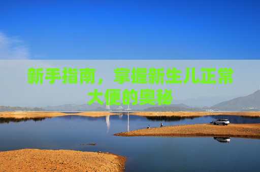 新手指南，掌握新生儿正常大便的奥秘