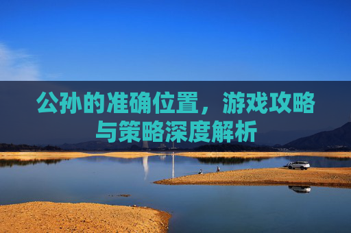 公孙的准确位置，游戏攻略与策略深度解析