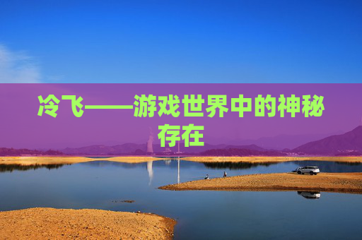 冷飞——游戏世界中的神秘存在