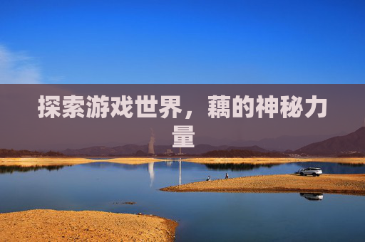 探索游戏世界，藕的神秘力量