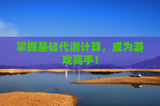 掌握基础代谢计算，成为游戏高手！