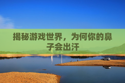 揭秘游戏世界，为何你的鼻子会出汗