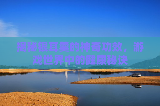 揭秘银耳羹的神奇功效，游戏世界中的健康秘诀