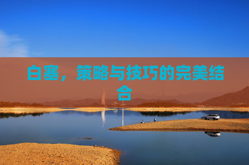 白塞，策略与技巧的完美结合