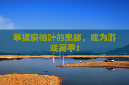 掌握扁柏叶的奥秘，成为游戏高手！