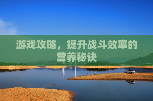 游戏攻略，提升战斗效率的营养秘诀