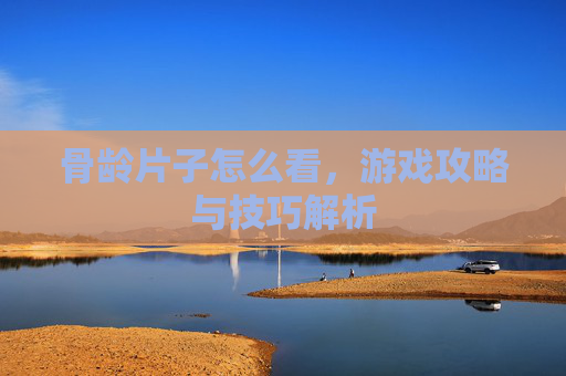 骨龄片子怎么看，游戏攻略与技巧解析