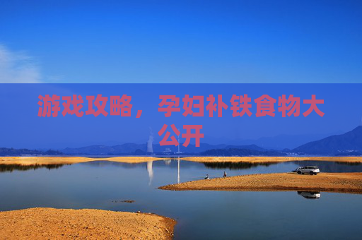 游戏攻略，孕妇补铁食物大公开