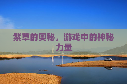 紫草的奥秘，游戏中的神秘力量