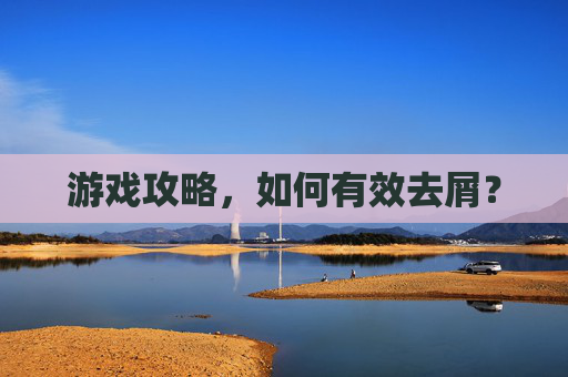 游戏攻略，如何有效去屑？